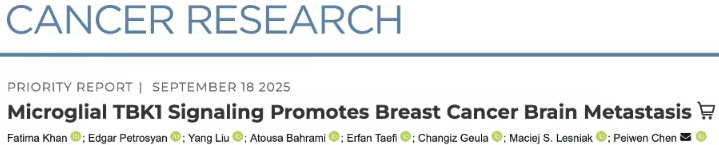 乳腺癌脑转移机制新发现：小胶质细胞TBK1信号通路成为治疗潜在靶点