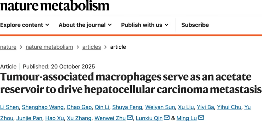 肝癌转移新机制：乳酸激活巨噬细胞合成乙酸盐，推动癌细胞迁移