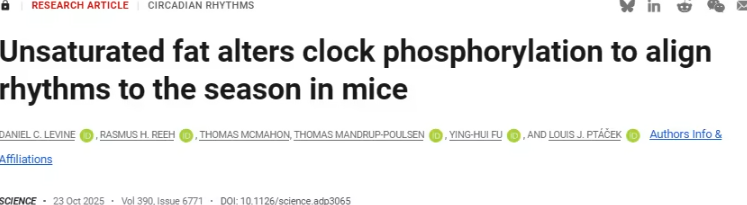 一口零食可能&ldquo;欺骗&rdquo;你的身体：氢化脂肪或扰乱季节生物钟