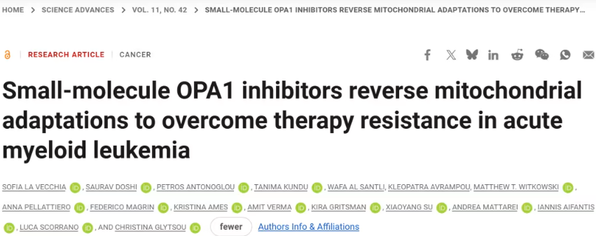 新研究揭示线粒体蛋白OPA1与急性髓系白血病（AML）耐药性之间的关系