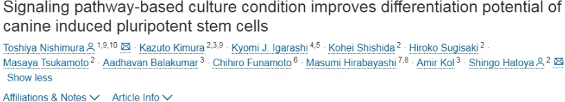 犬类诱导性多能干细胞（iPSCs）培养突破：为再生医学与宠物治疗带来新机遇