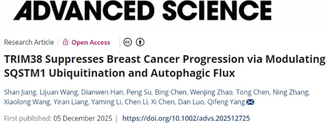 山东大学发现TRIM38可抑制乳腺癌进展，通过调控SQSTM1泛素化与自噬通量实现抗肿瘤作用