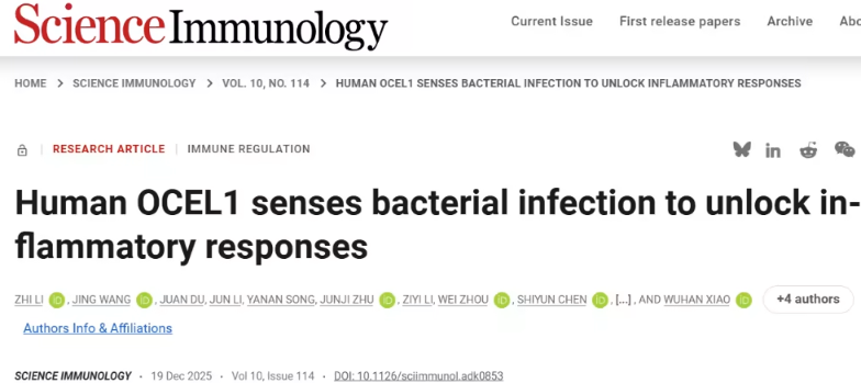 中科院科学家揭示炎症调控新机制：OCEL1蛋白是NF-&kappa;B信号的关键&ldquo;刹车&rdquo;