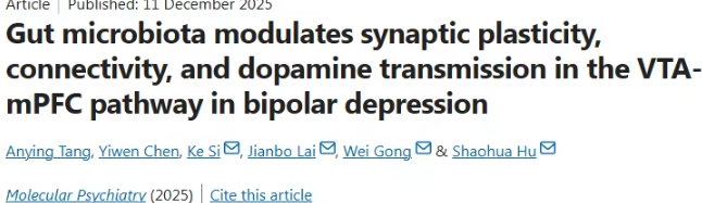 肠道微生物与双相情感障碍的关系：新研究揭示潜在机制