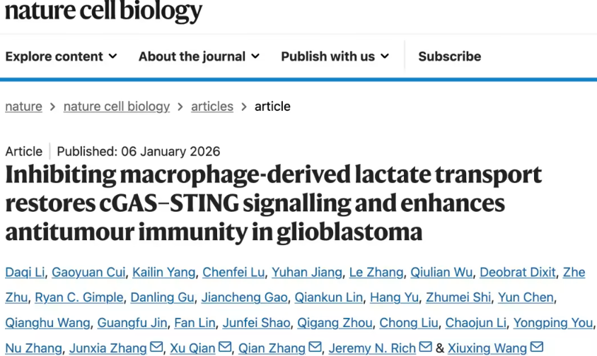 Nature子刊最新研究揭示：阻断乳酸转运可增强胶质母细胞瘤免疫治疗效果