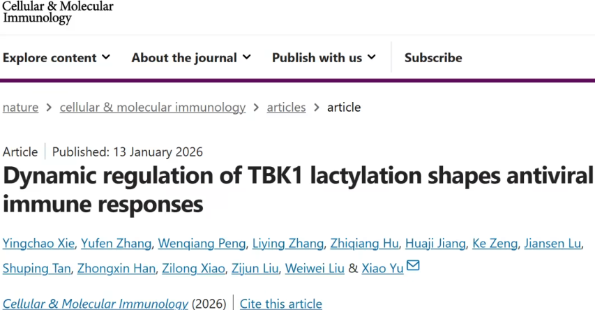 南方医科大学余潇团队揭示TBK1乳酸化调控抗病毒免疫新机制